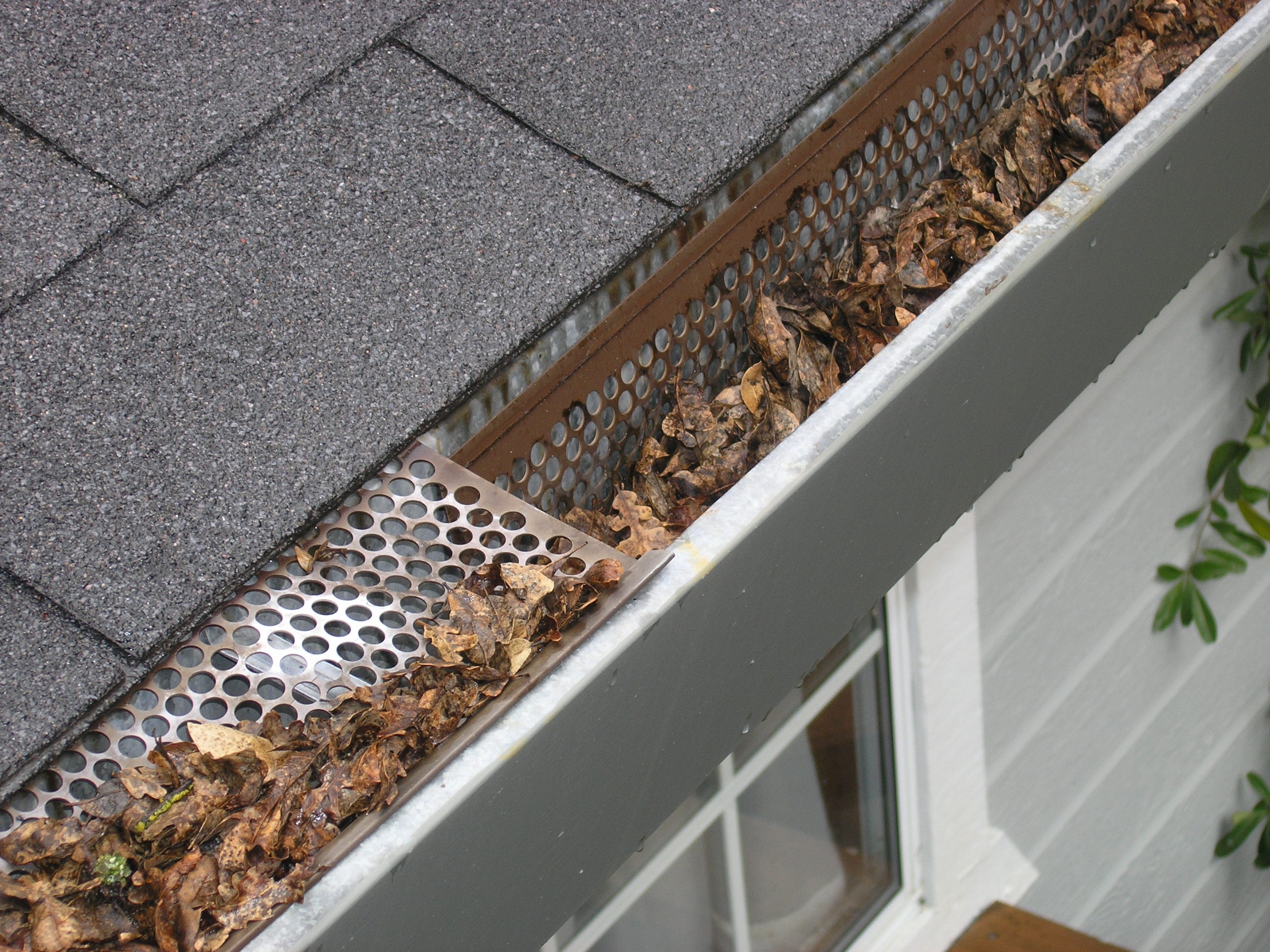 Have your gutters and downpipes cleaned